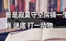 从曾经充满寂静的空房中猜测生肖,来解开一个谜底:用单词一二三打出一种动物