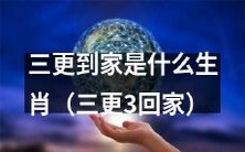 哪个属相的人会在凌晨三点回家?