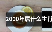 「二千年的人属于哪种生肖?从中国十二生肖的角度来探究二千年人的生肖归属」