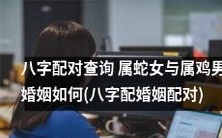 如何查询属蛇女与属鸡男的八字配对情况并预测其未来婚姻发展趋势?