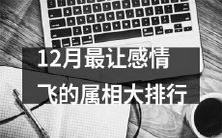 十二生肖排行榜:12月最能激发感情的动物属相是哪个?
