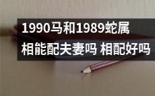 1990马和1989蛇属相之间是否适合结为夫妻?它们的相配程度如何?
