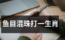 使用拼音和汉字:yú mù hùn zhū dǎ yī shēngxiàng