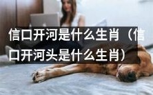 有没有哪个生肖是以“信口开河”的特点最为突出的?