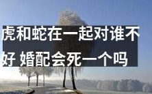 结合一对虎蛇的人类婚配不仅会导致其中一方的死亡,而且对整个家庭和社会也会产生不良影响
