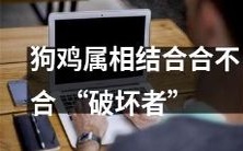 鸡年与狗年融合是否会成为“毁灭者”?