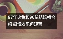 当87年生肖火兔与96年生肖鼠结婚:是否天生一对?他们的感情曾经欢乐,但却短暂终结