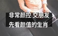 交友通则之一:狂热颜控者?以生肖换取虚荣的封面友谊?