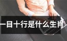 哪些动物属于一目十行的生肖等级?