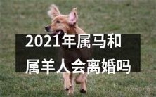 2021年属马和属羊人是否会面临婚姻破裂的风险?