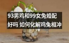 如何处理鸡兔相克的问题?在93男鸡和99女兔婚配方面,有什么需要注意的地方吗?