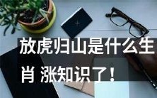 了解生肖的文化:"放虎归山"象征什么动物?视野大开!