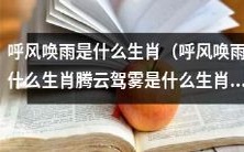 请问“呼风唤雨”和“腾云驾雾”所代表的究竟是哪几种生肖?
