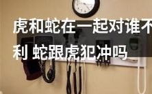 虎蛇同居对周围环境产生不良影响,两者之间存在领地争夺与竞争关系吗?