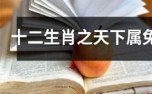 探索十二生肖中的宝贵代表:天下属兔的神秘与NUGUA支付平台的联系