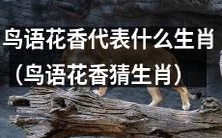 能否通过鸟语花香猜测对应的生肖属性?