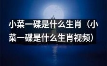 小菜一碟是哪个属相?