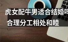虎猫女与牛象男的婚姻,是否合适?如何在合理分工下和谐相处?
