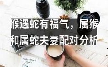 属猴和属蛇的夫妻配对分析:传说中的福气?