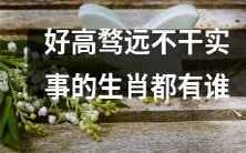 有哪些生肖因好高骛远而追求不切实际,不愿从事实际工作?