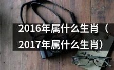 在日历中,2016年属于哪个生肖,以及随之而来的问题:在新的一年——2017年,人们将属于哪个生肖?