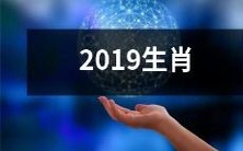 十二生肖系列纪念硬币——2019年中国传统农历新年纪念礼品,特别为属鼠、牛、虎、兔、龙、蛇、马、羊、猴、鸡、狗以及猪的人们设计