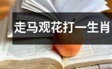 匆匆瞥眼间猜中一款属相谜语