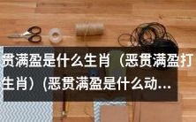 惯坏到底,它究竟是哪一种生肖动物啊? - 探究“恶贯满盈”对应的生肖动物