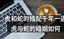 千年一遇的虎蛇婚配:探究虎与蛇夫妻关系的多方面因素
