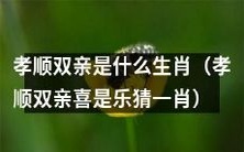 乐猜生肖:通过孝顺双亲,猜测对应的生肖已成为一种趣味游戏!