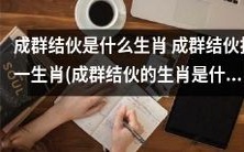 哪个生肖会成群结伙?成群结伙的生肖是什么?打一生肖是哪一个?