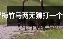 青梅竹马,两小无猜,猜猜这个生肖是什么?