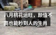 八月桃花运势旺盛,即使颜值普通也能轻松迎来桃花,揭秘生肖桃花运动向