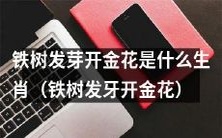 什么生肖对应着“铁树发芽开金花”的传统文化符号?