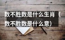 哪个生肖无数无尽 (哪个生肖代表无数无尽的意义)