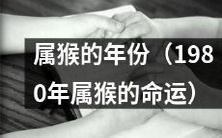 1980年猴年出生人的命运及性格分析