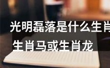 生肖马或生肖龙:探究光明磊落这一特质的含义与表现方式