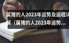 2023年属猪的人运势与运程详细解析