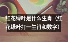 探秘红花绿叶代表的生肖与数字是什么?