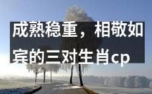 揭秘三组生肖CP:以成熟稳重为基调,彼此相敬如宾的完美配对