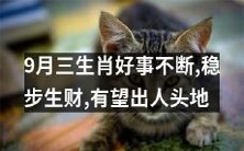 三生肖可能在九月期间将迎来好运连连,不仅能够稳步增加财富,还有可能获得升职甚至成为人头抖擞的成功者