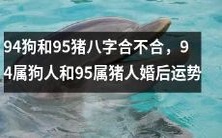 94年出生的属狗人和95年出生的属猪人的姻缘如何,他们结婚后的命运如何?