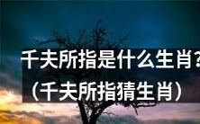 你能猜出被千夫所指的生肖是什么吗?