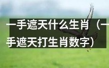 使用把手遮天的方法,可以猜出哪种生肖?