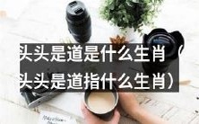 哪个生肖的人是以领导为导向的?