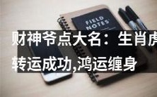 财神爷高照:生肖虎运程大展,好运源源涌现