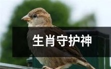 探索十二生肖文化背后的神秘力量及其对生活的影响