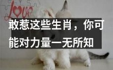 如果你挑战这些生肖,那么你可能对它们的力量毫无领悟