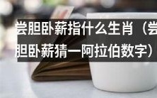 探寻尝胆卧薪的生肖以及与之对应的阿拉伯数字猜谜游戏