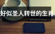 犹如重生的圣人:探秘生肖的神秘魅力